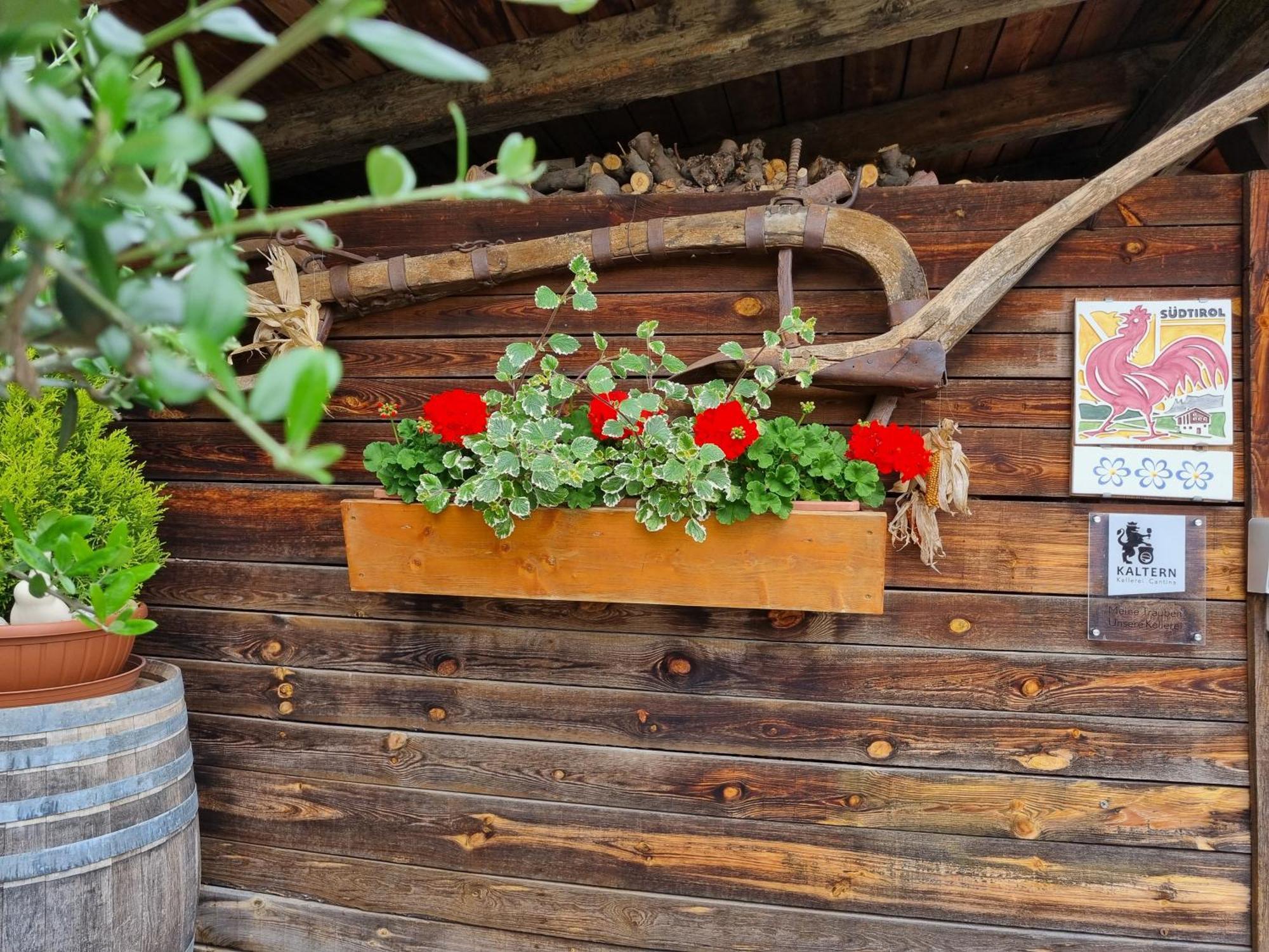 Urlaub Auf Dem Bauernhof Schmidhof - Grosse Terrasse, Pool Und Beste Lage กัลดาโร ภายนอก รูปภาพ